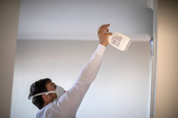 Best Attic Mold Remediation in Wesley Hills, NY