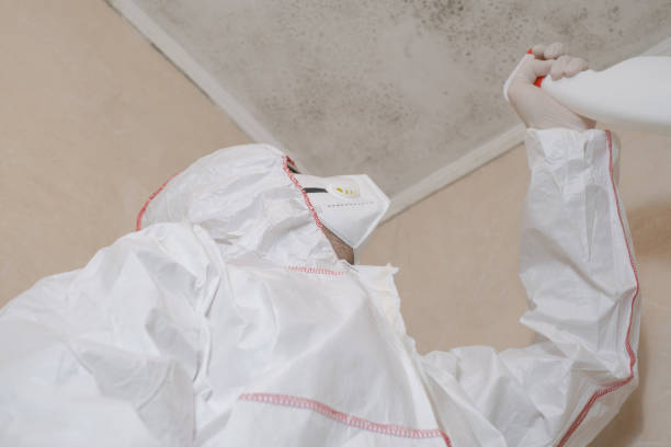 Best Mold Remediation for Specific Building Types in Wesley Hills, NY