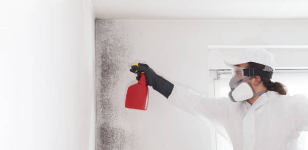 Best Mold Remediation for Specific Building Types in Wesley Hills, NY